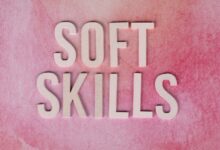 dimrekemesgen skills summary