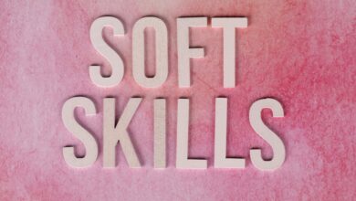 dimrekemesgen skills summary