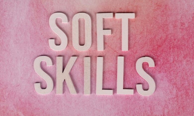 dimrekemesgen skills summary