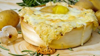 soldegicargots principal ingredient listed