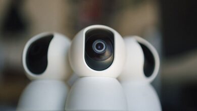 ip address ownership and security info