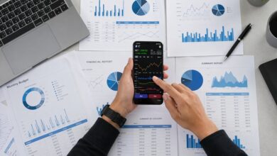 phone number identity search