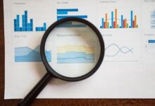 phone number registry insights summary