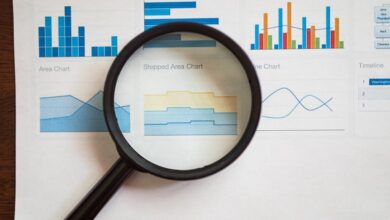 phone number registry insights summary