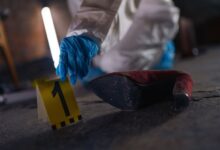 phone numbers listed for registry evidence