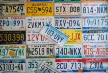 registered numbers details summarized