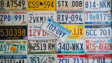 registered numbers details summarized