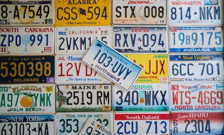 registered numbers details summarized