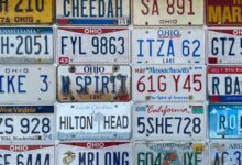 registered numbers search results details