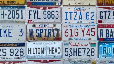 registered numbers search results details